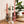 Load image into Gallery viewer, Kaarsen Kandelaar Glas Deco Transparant