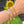 Load image into Gallery viewer, Armband Bangle Small Shells