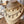 Load image into Gallery viewer, DQ Bedel Cowboy Hoed 12mm Goud - 1 stuk