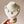 Load image into Gallery viewer, DQ Charm Swivel Shell Antique Silver