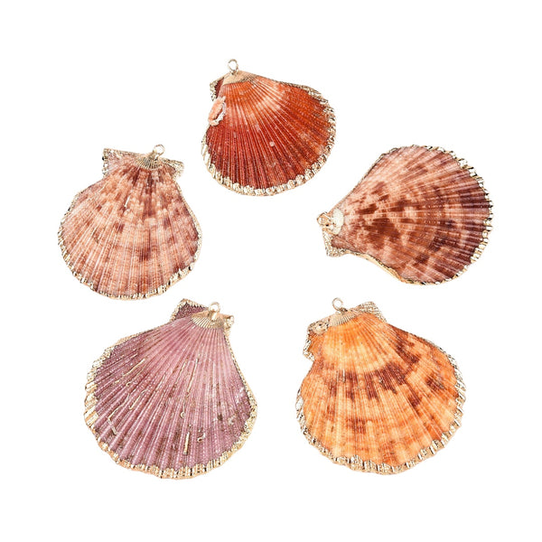 Bedel Schelp Bruin En Gouden Rand - 1 stuk