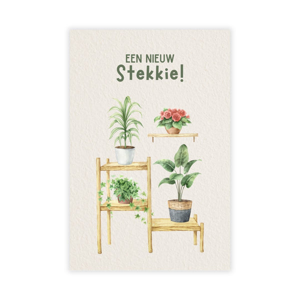 Kaartje Een Nieuw Stekkie