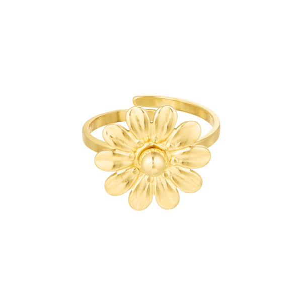 Ring Flower Daisy