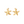 Load image into Gallery viewer, Charm Starfish (Stainless Steel) Gold