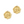 Laad afbeelding in galerie, Bedel (Stainless Steel) Stempel Bloemen 18mm Goud - 1 stuk