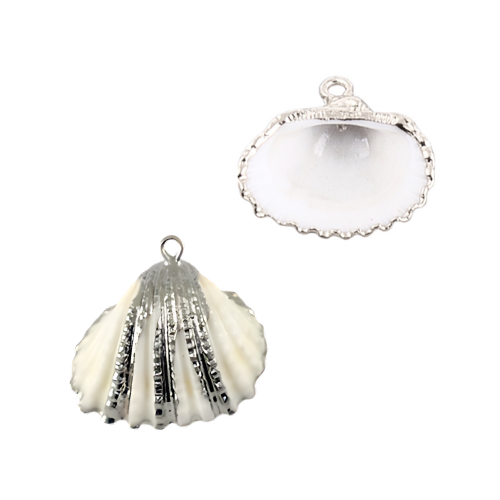 Bedel Schelp Met Zilveren Details - 1 stuk