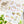 Laad afbeelding in galerie, Stickervel Lettoon A6 - Veggie Garden