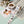 Load image into Gallery viewer, Sticker Rol Thank You-Graphic - 500 stuks