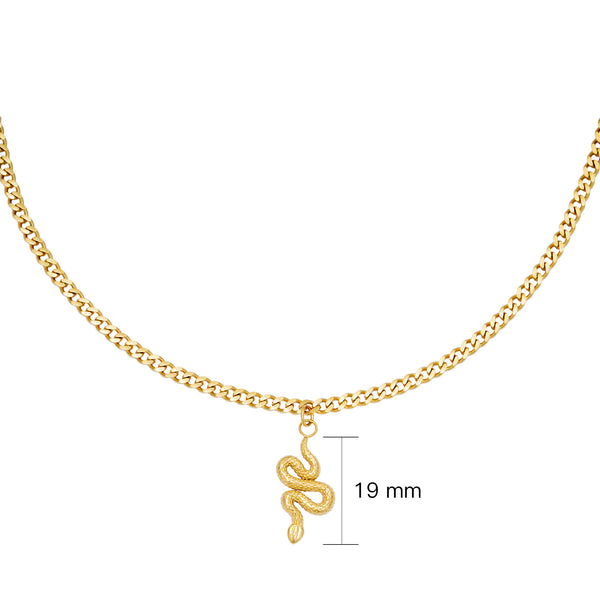 Ketting Chain Snake