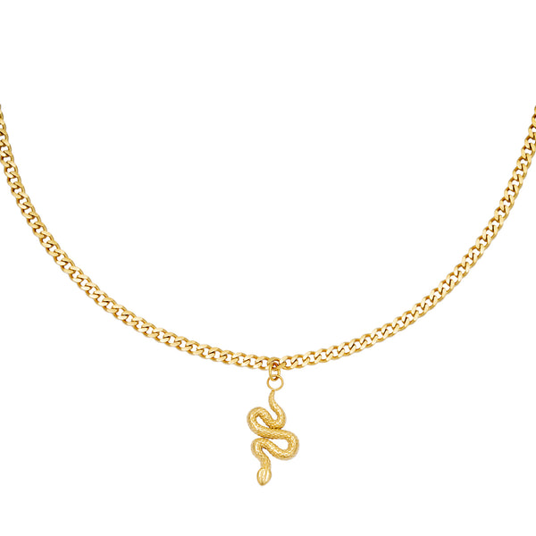 Ketting Chain Snake