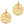 Load image into Gallery viewer, DQ Charm Coin Gold