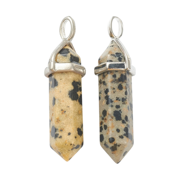 Charm Natural Stone Bullet Dalmatian Jasper Silver