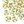 Load image into Gallery viewer, Shell Bead Around Lemons