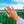 Load image into Gallery viewer, Ring Palm Tree