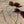 Load image into Gallery viewer, Brillenkoord Blue Lagoon

