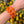 Laad afbeelding in galerie, Armband Orange Beads
