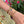 Load image into Gallery viewer, Armband Color Gem
