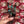 Load image into Gallery viewer, Wijnaccessoire Set Kralen - Bruin Turquoise
