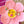 Load image into Gallery viewer, DQ Bedel Zeester Fuchsia Roze Goud - 1 stuk
