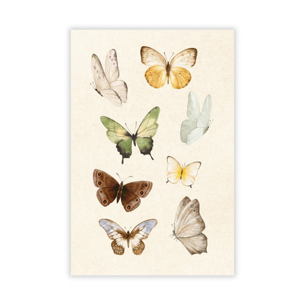 Kaartje Vlinders Illustraties