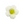 Laad afbeelding in galerie, Gehaakte Bloem 4.4cm Wit Groen - 1 Stuk
