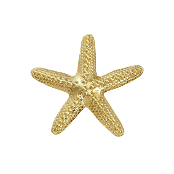 Broche Zeester Goud