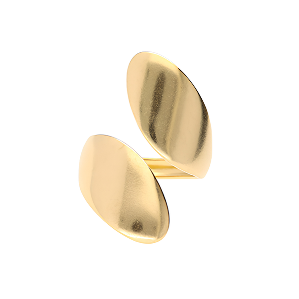 Ring Duo