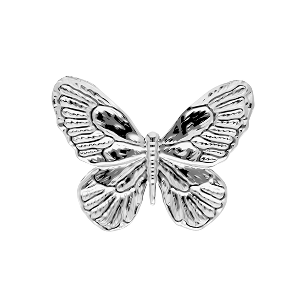 Broche Vlinder Zilver