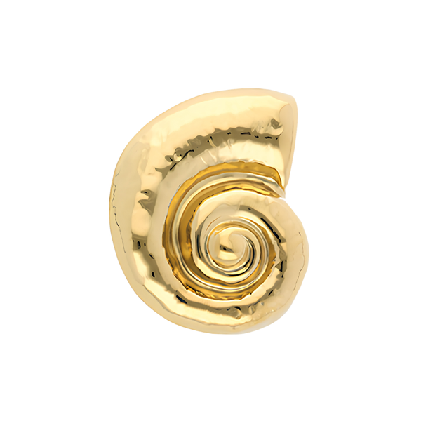 Broche Fossiel Goud