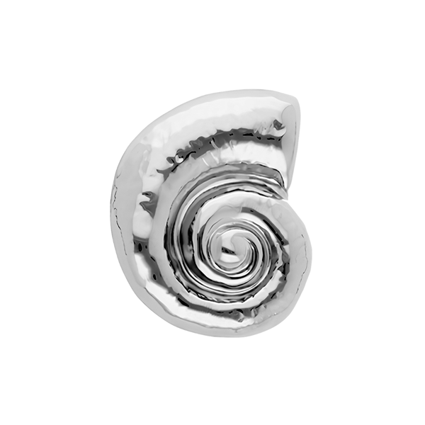 Broche Fossiel Zilver