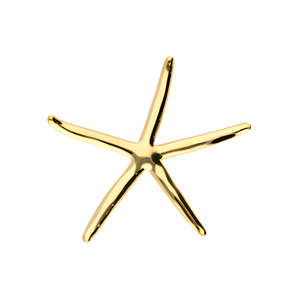 Broche Zeester Goud