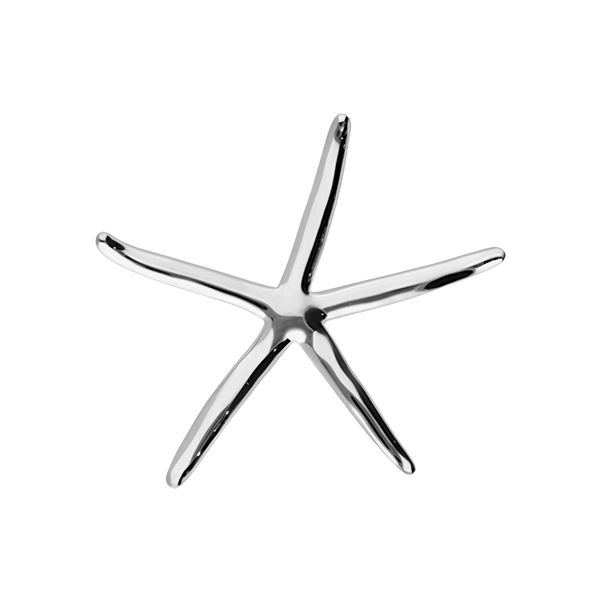 Broche Zeester Zilver
