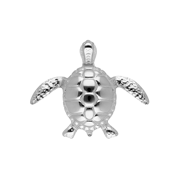 Broche Schildpad Zilver