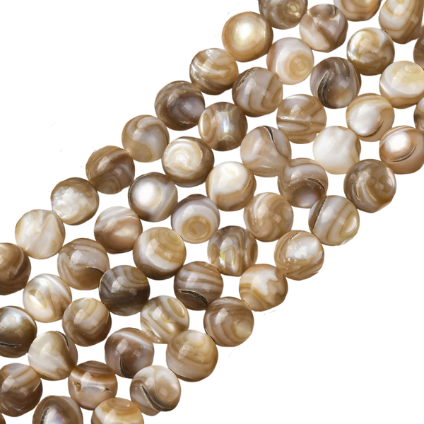 Schelp Kralen Rond 6mm Bruin - 20 stuks