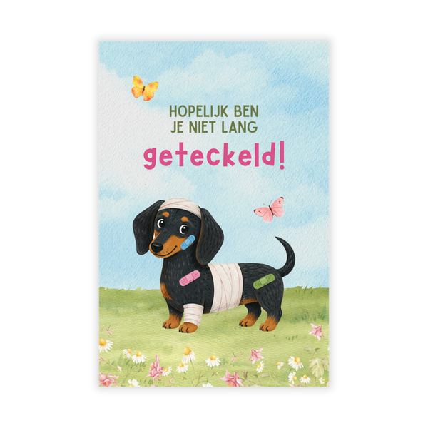 Kaartje Hopelijk Ben Je Niet Lang Geteckeld
