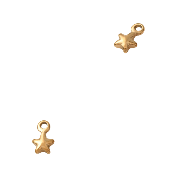 Bedel (Stainless Steel) Ster 8mm Goud - 1 stuk