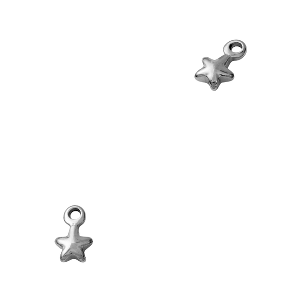 Bedel (Stainless Steel) Ster 8mm Zilver - 1 stuk