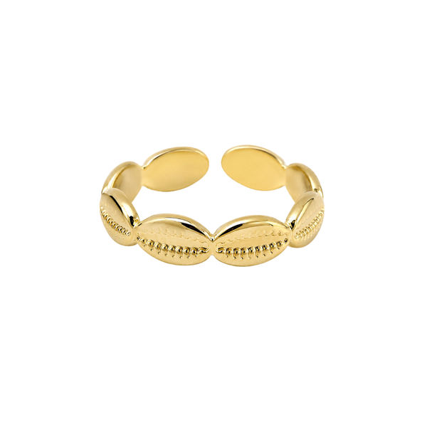 Ring Cowrie Shell
