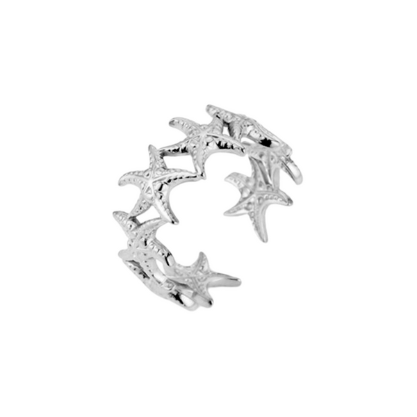 Ring Row Of Starfish