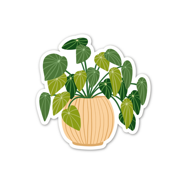 Vinyl Sticker Muchable Plant Met Beige Bloempot - 1 Stuk