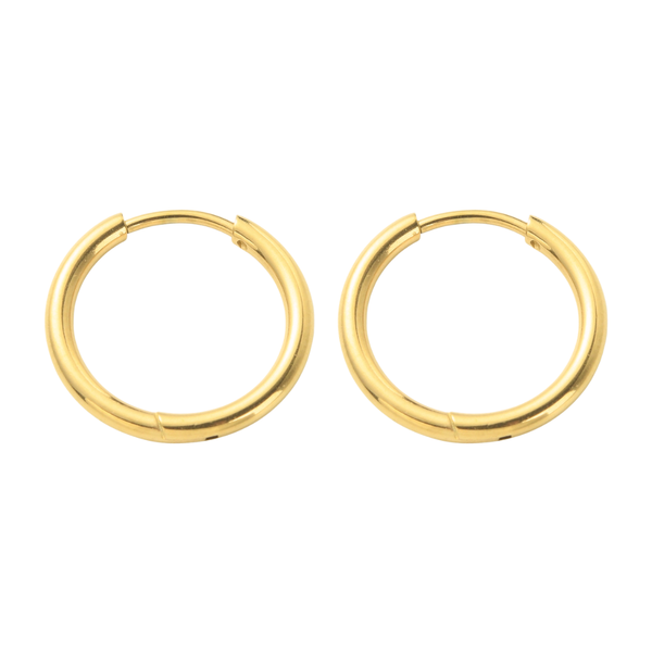 Oorbellen Creolen Stainless Steel 18mm Goud - 1 paar