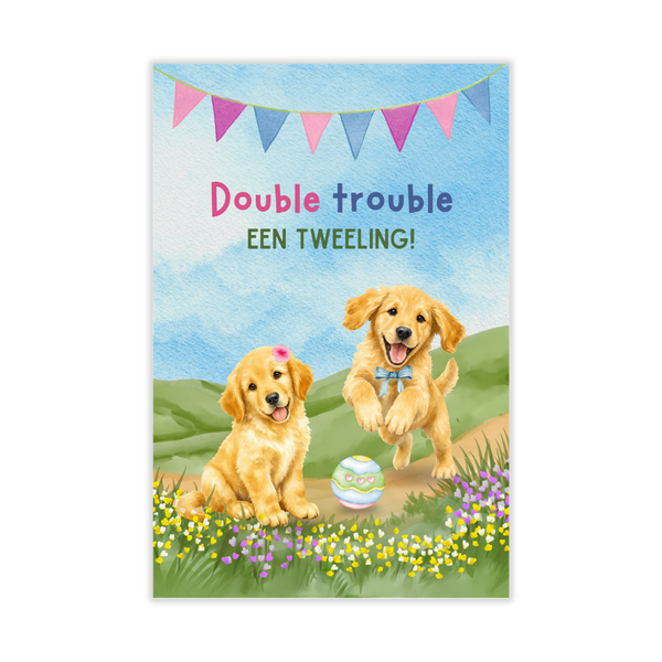 Kaartje Double Trouble Een Tweeling! Meisje en Jongen