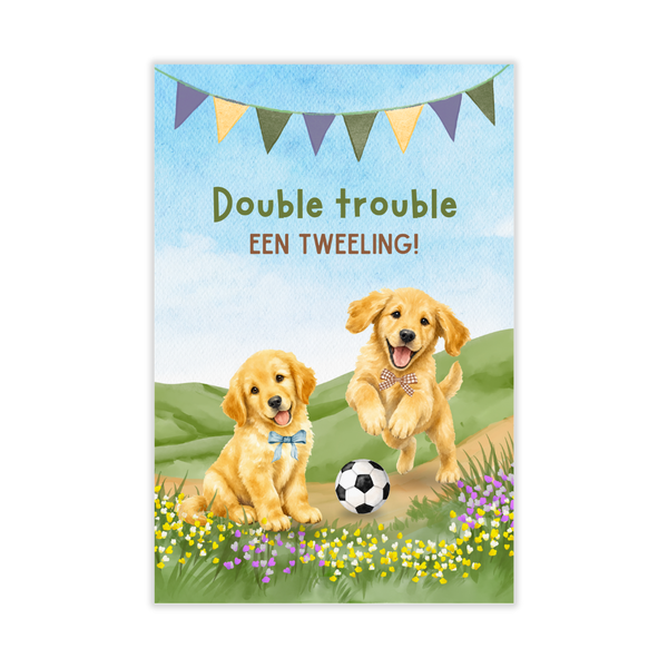 Kaartje Double Trouble Een Tweeling! Jongens