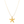 Load image into Gallery viewer, Ketting Big Starfish Long
