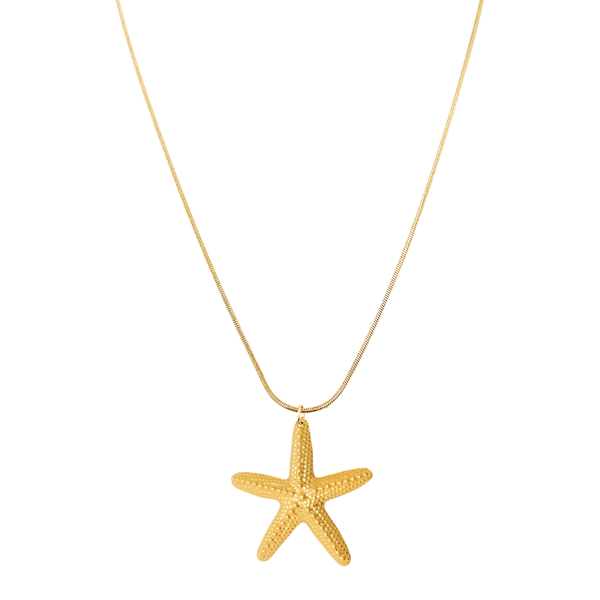Ketting Big Starfish Long